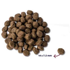 Hondenvoer<Renske Super Premium Graanvrij Senior Hondenvoer Kalkoen 12 kg