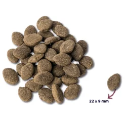 Super Premium Graanvrij Adult Hondenvoer Lam 12 kg^Renske New