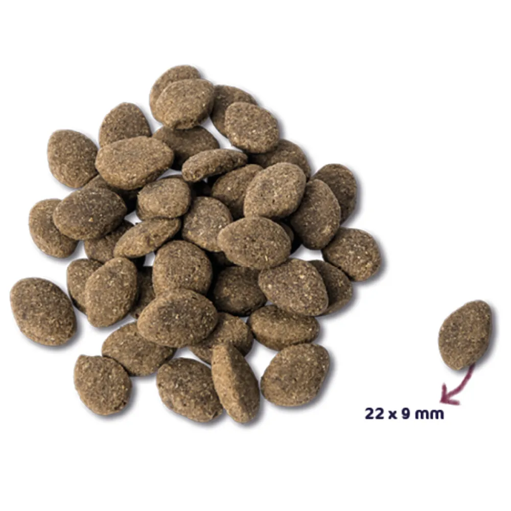 Super Premium Graanvrij Adult Hondenvoer Lam 12 kg^Renske New