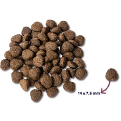 Hondenvoer<Renske Super Premium Graanvrij Adult Hondenvoer Zalm 600 gr