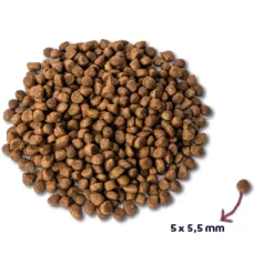 Super Premium Kitten Kattenvoer Kalkoen & Kip 1,5 kg^Renske Best