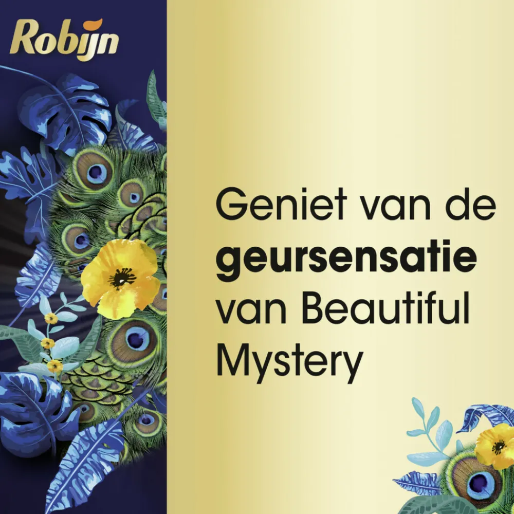 Klein & Krachtig Wasmiddel Black Beautiful Mystery 19 Wasbeurten 665 ml^Robijn Discount