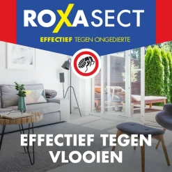 Spray tegen Vlooien 300 ml^Roxasect Sale