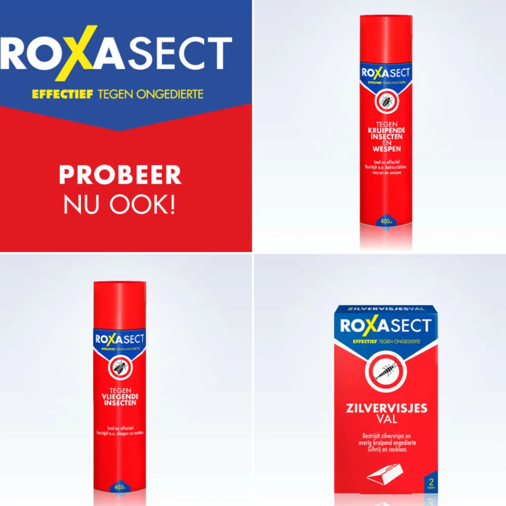 Spray tegen Vlooien 300 ml^Roxasect Sale