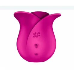 Online Luchtdruk Vibrator Rose Voor Haar
