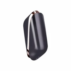 Vibrator Pro Traveler^Satisfyer Hot