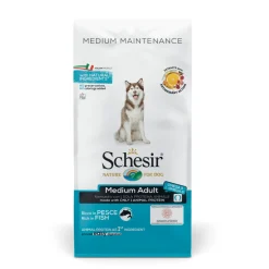 Hond Dry Maintenance Medium Vis 12 kg^Schesir Outlet