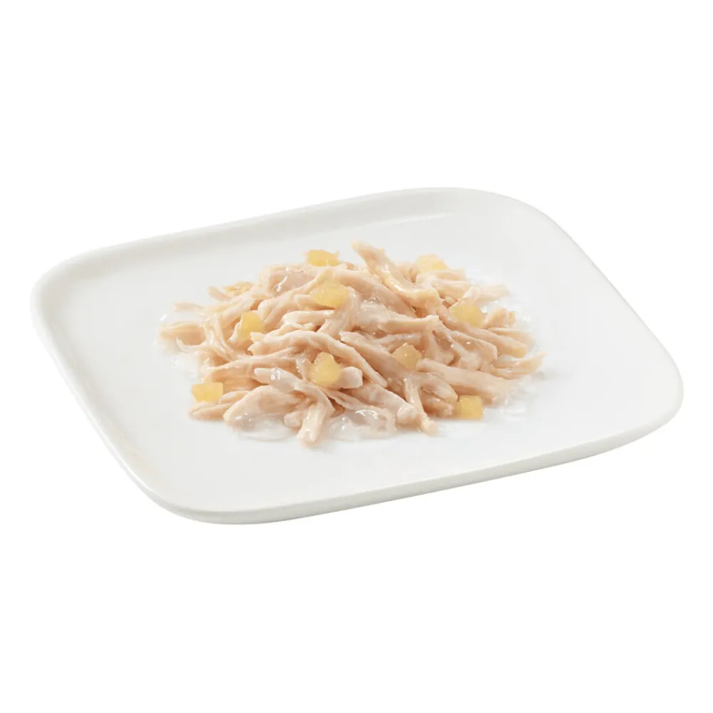 Hondenvoer<Schesir Hondenvoer Kip - Appel 150 gr