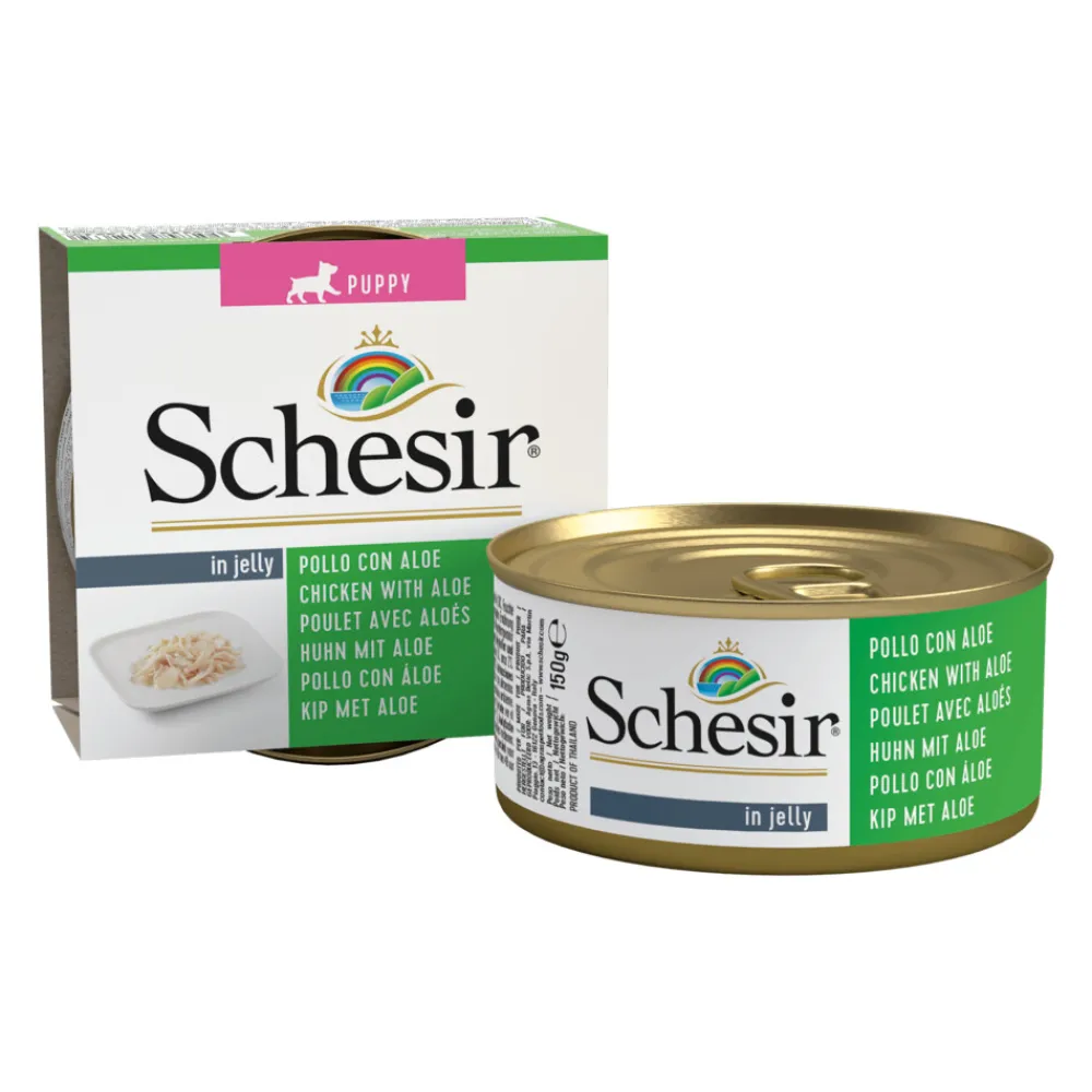 Hondenvoer Puppy Kip Aloe in Gelei 150 gr^Schesir Outlet