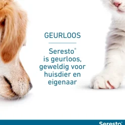 New Anti Vlooien en Teken Halsband Hond Tot 8 kg 38 cm Vlo, Teek & Worm