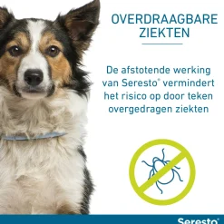 Anti Vlooien en Teken Halsband Hond Tot 8 kg 2-pack 38 cm^Seresto Best