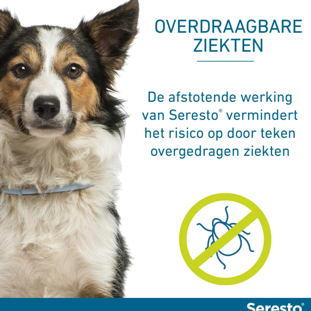 Anti Vlooien en Teken Halsband Hond Tot 8 kg 2-pack 38 cm^Seresto Best