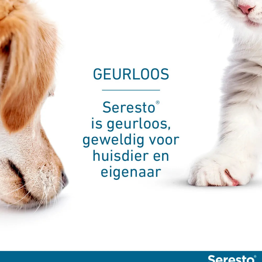 Anti Vlooien en Teken Halsband Hond Tot 8 kg 2-pack 38 cm^Seresto Best