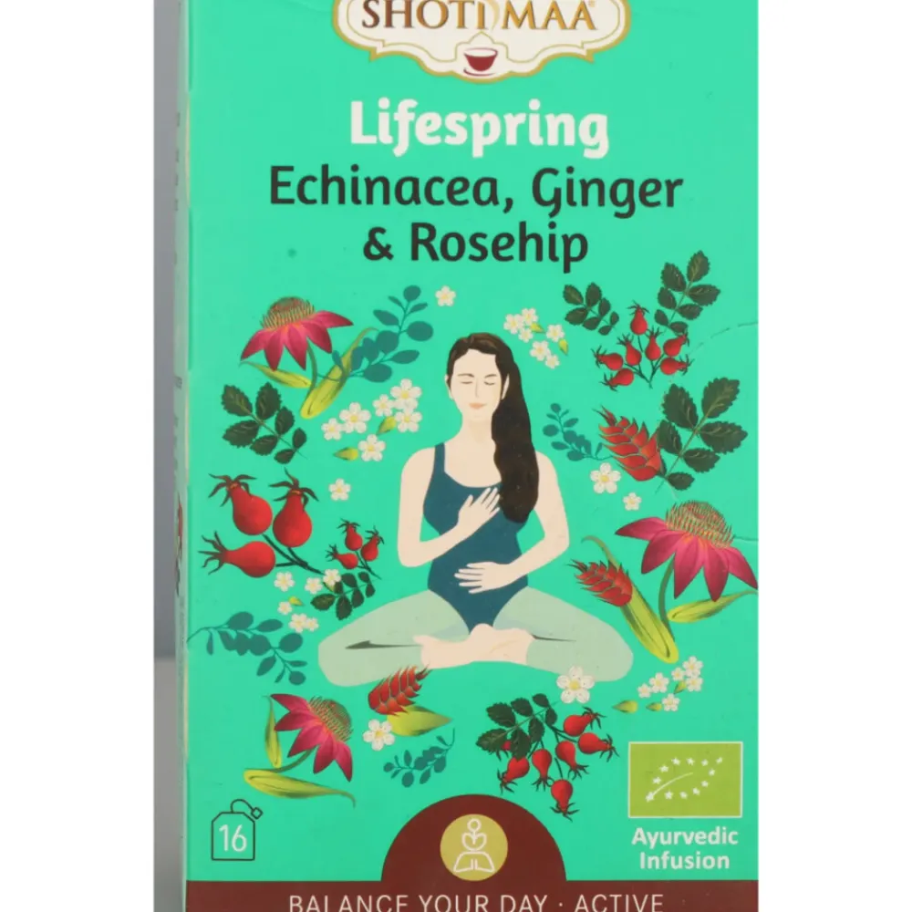 Biologische Thee Zakjes Lifespring 16 stuks Thee