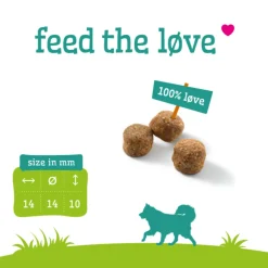 Online Graanvrij Hondenvoer Adult 12 kg Hondenvoer