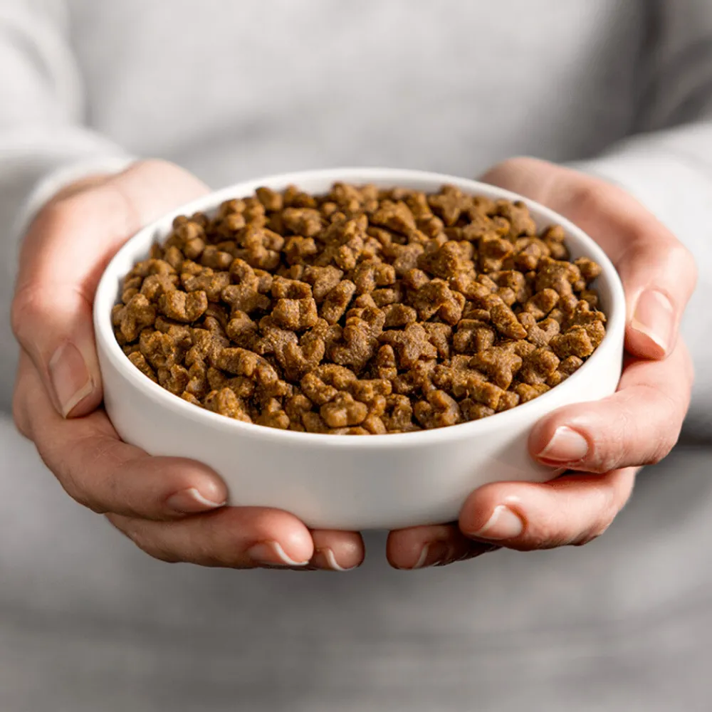 Kattenvoer Adult Kip 4 kg^Smolke Clearance