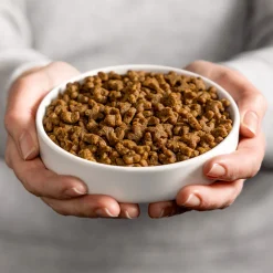 Kattenvoer Adult Kip 2 kg^Smolke Clearance