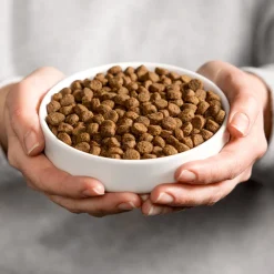 Kattenvoer Sterilised 2 kg^Smolke Best