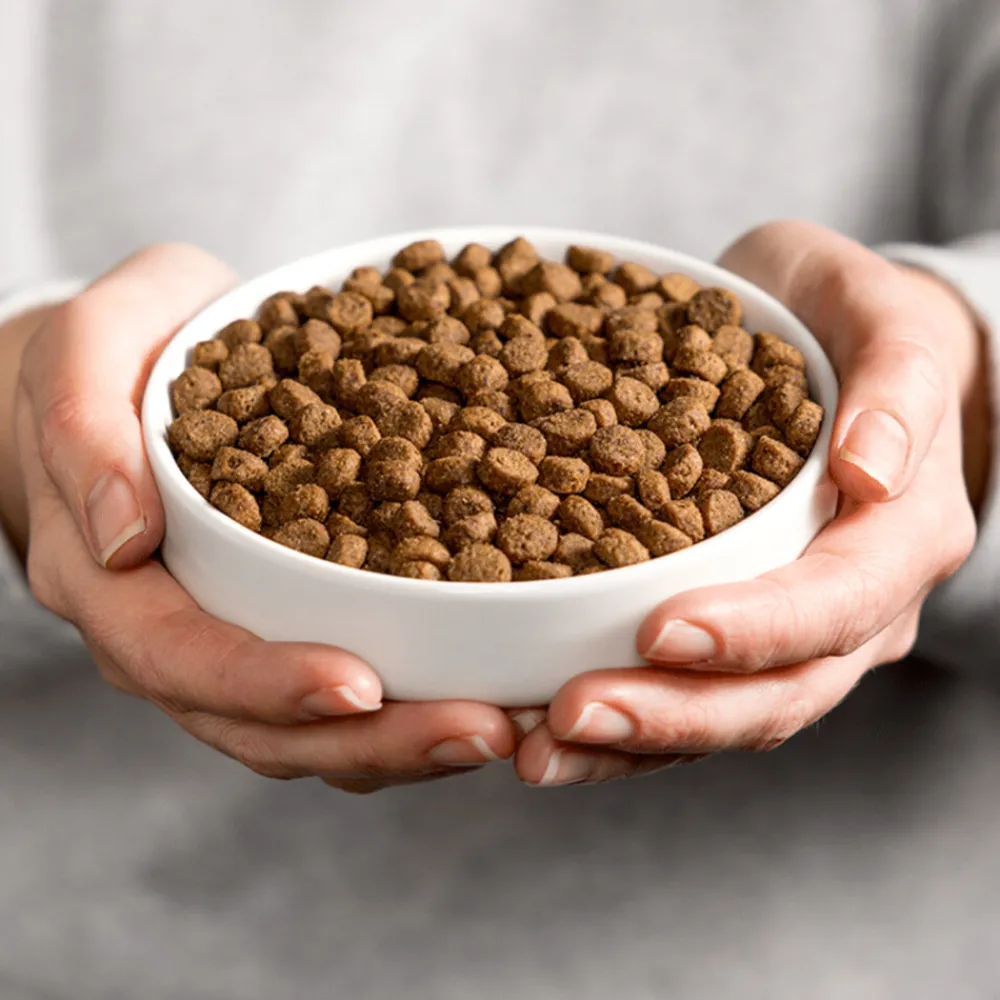 New Kattenvoer Sterilised 4 kg Kattenvoer