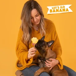 Snacks<Smoofl Honden IJsmix Banaan 160 gr