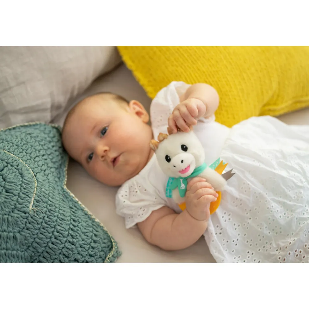 Best Bijtring Rammelaar Pluche Baby & Peuter|Kraamcadeaus