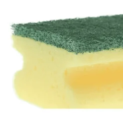 Sponzen<Sorbo Schuurspons Handgreep 2 stuks