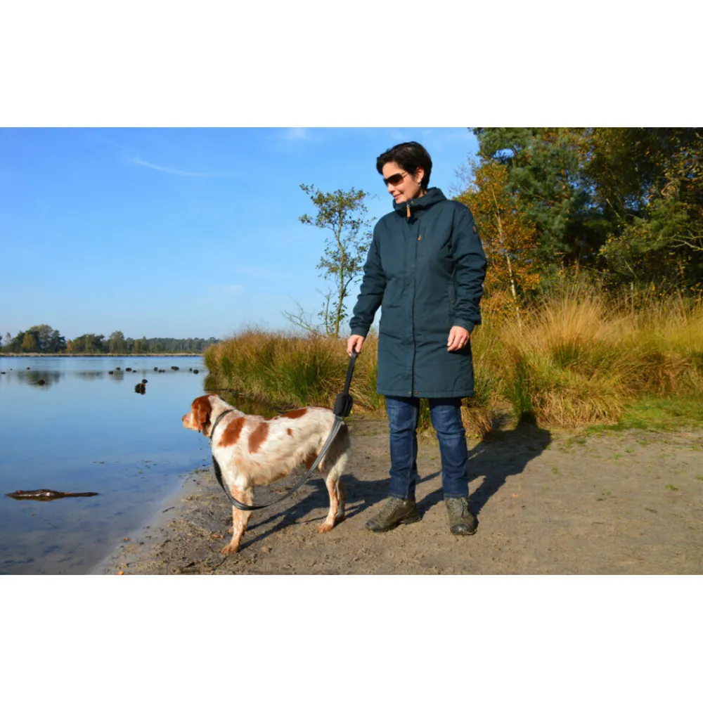 Leash Dispenser^Trailstone Best