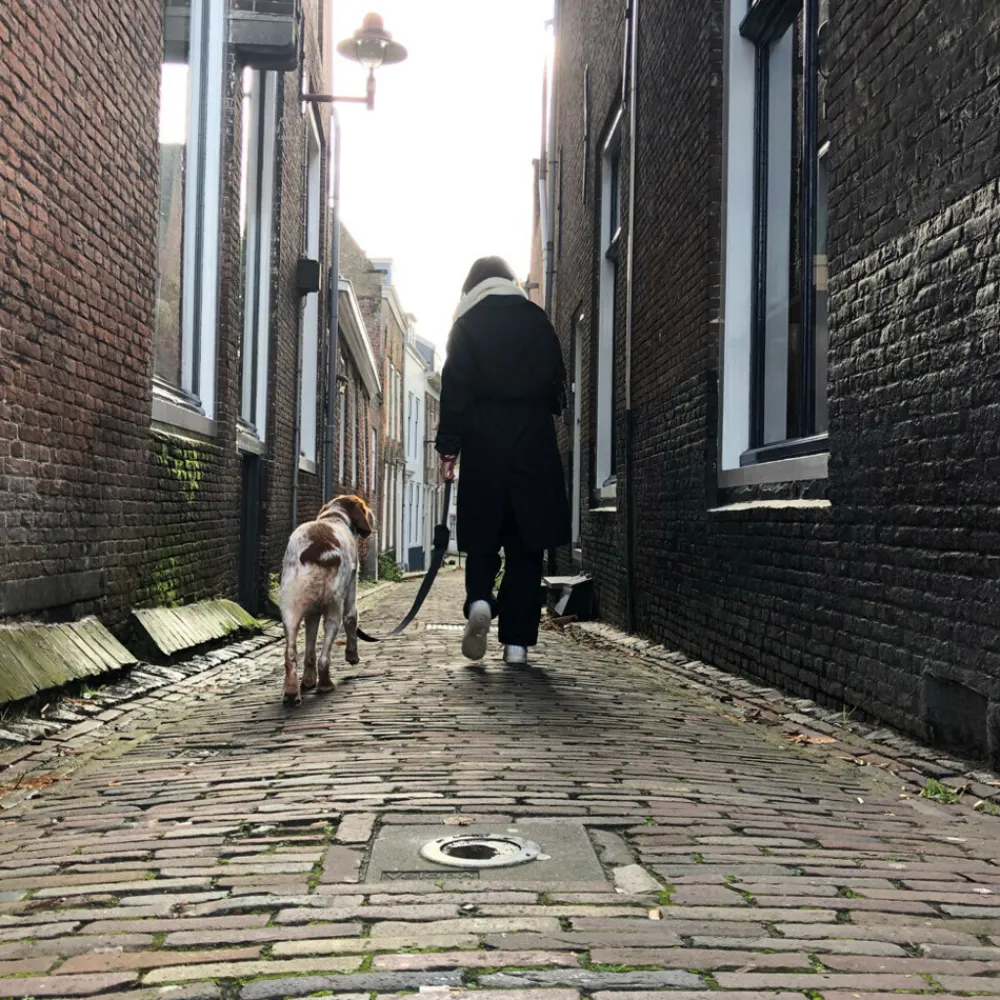 Leash Dispenser^Trailstone Best