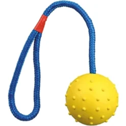 Speelgoed<Trixie Bal aan Koord Natuurrubber