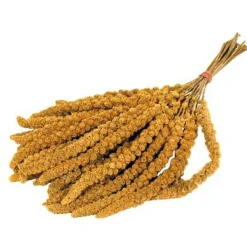 Snacks< Trosgierst 300 gr