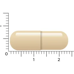 Weerstand & Energie<Vitakruid DIM Complex 60 vegacapsules