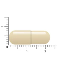 Gebufferde Vitamine C 150 vegacapsules^Vitakruid Sale