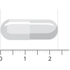 Spijsverteringsformule Pro 60 capsules^Vitals New