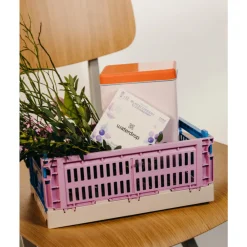 Microdrink Hydratatieblokjes Boost 12 stuks^Waterdrop New