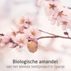 New Amandel Verzachtende Gezichtsolie 50 ml Serum