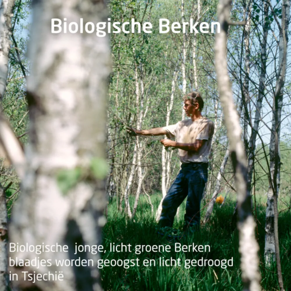 Berken Pearl Scrub Douchecrème 150 ml^WELEDA Best