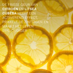 Citrus Refresh Douchecrème 200 ml^WELEDA Sale