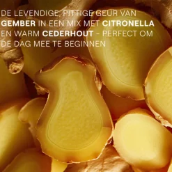 Online Douchegel Gember Energy 400 ml Bad & Douche