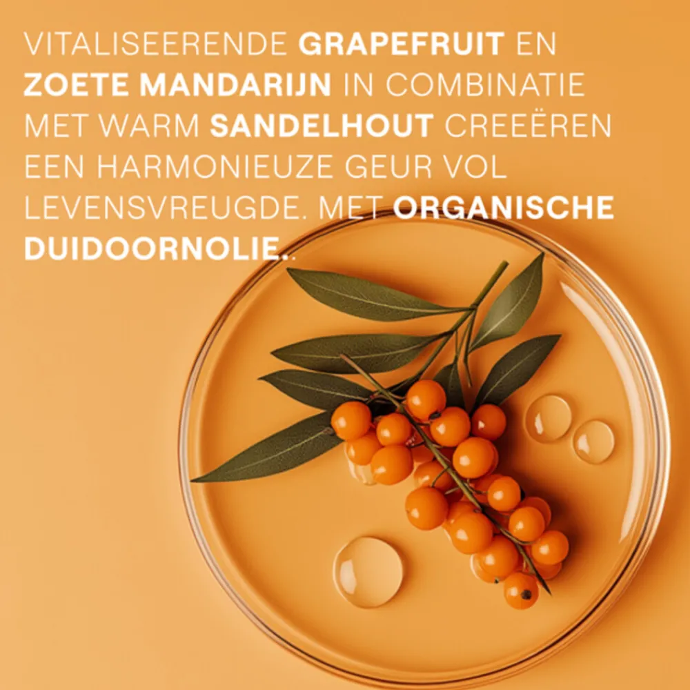 Duindoorn Vitality Douchecrème 200 ml^WELEDA Sale