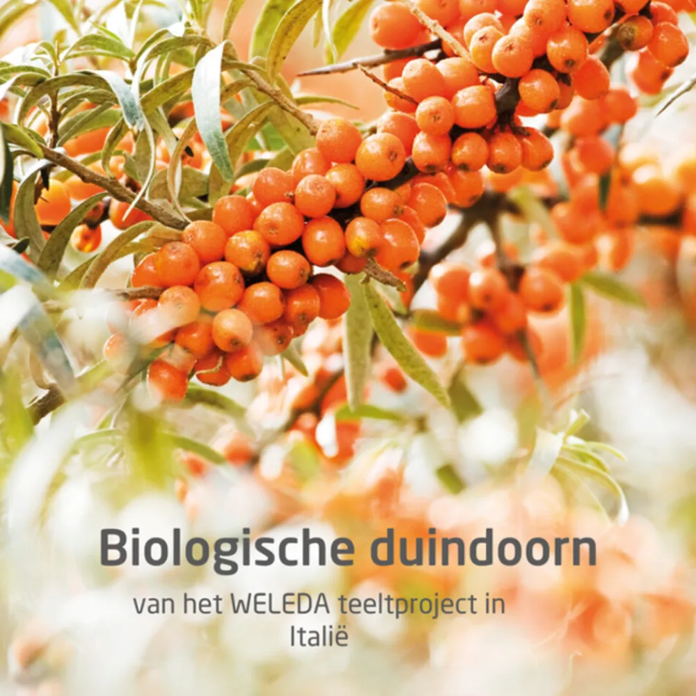 Duindoorn Vitality Douchecrème 200 ml^WELEDA Sale