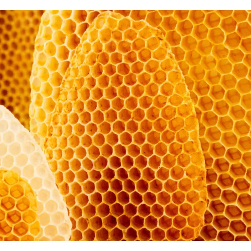 Lipverzorging<WELEDA Everon Lippenbalsem 4,8 gr