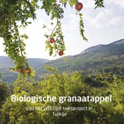 New Granaatappel Verstevigende Body Butter 150 ml Huidverzorging