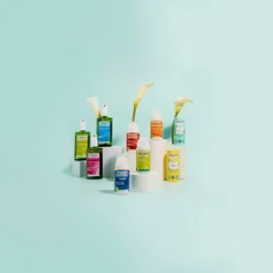 24H Deodorant Stick Eucalyptus & Peppermint 50 gr^WELEDA Outlet