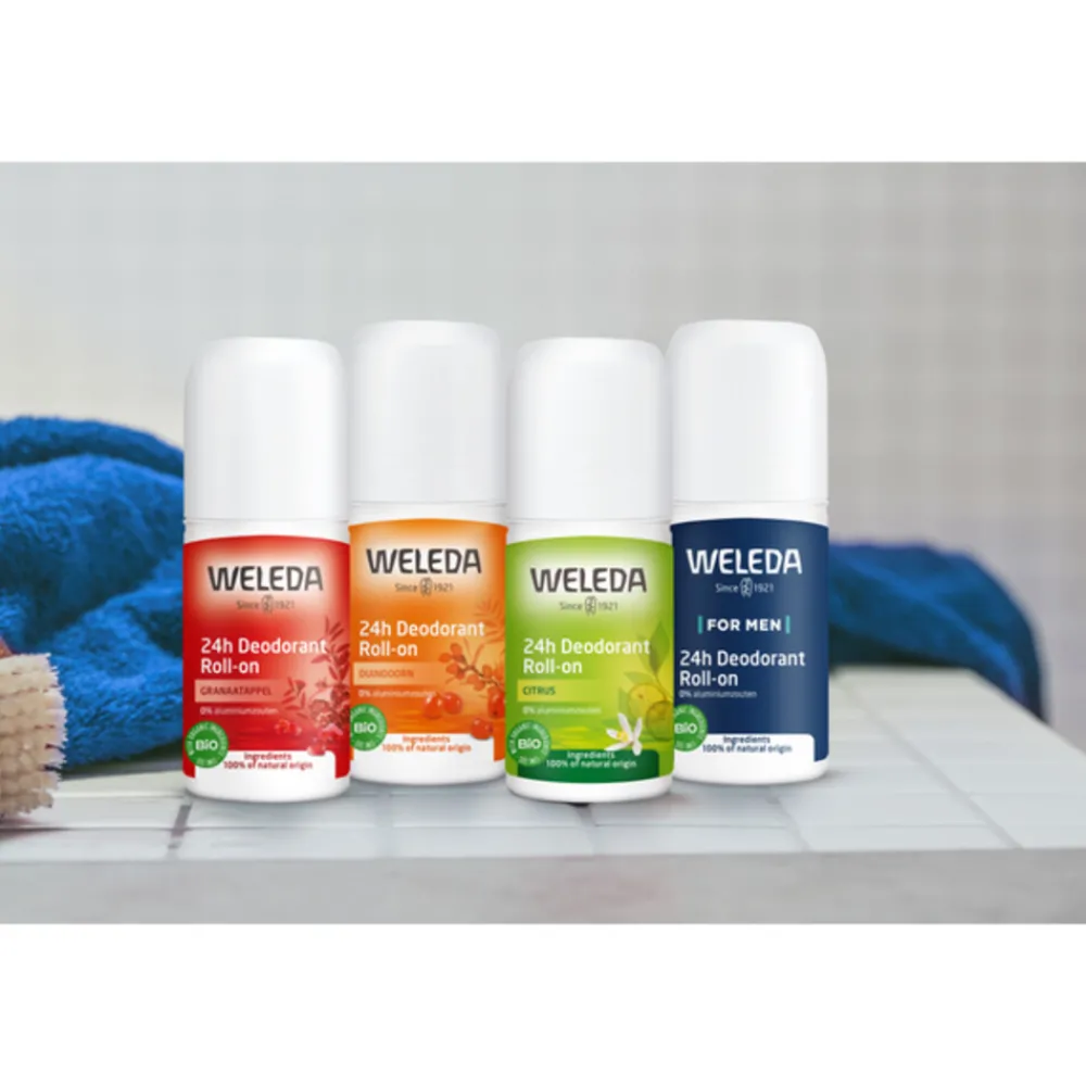 24h Roll-On Deodorant Men 50 ml^WELEDA Online