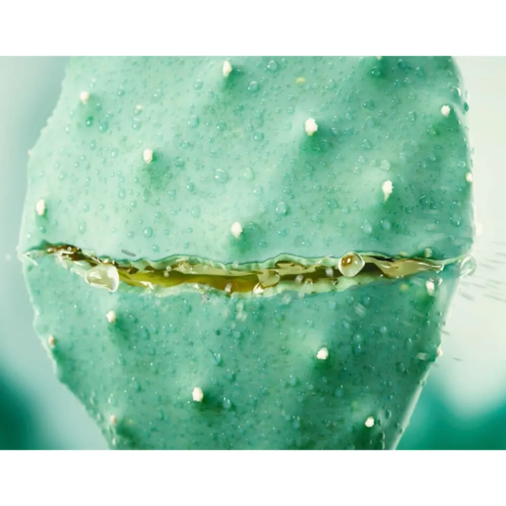 Hydraterende Gezichtscreme Cactus & Aloe Vera 30 ml^WELEDA Hot