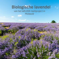 Huidverzorging<WELEDA Lavendel Ontspannende Body Olie 100 ml