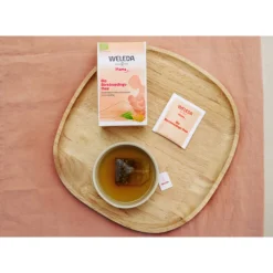 Hot Mama Borstvoedingsthee Bio 20 stuks Borstvoeding