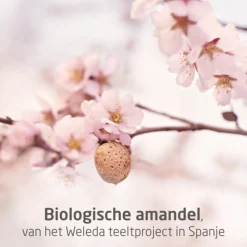 Mama Massageolie Perineum 50 ml^WELEDA Sale