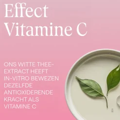 Sale Wilde Rozen & Witte Thee Vitaliserende Dagcrème 40 ml Dag- & Nachtcrème