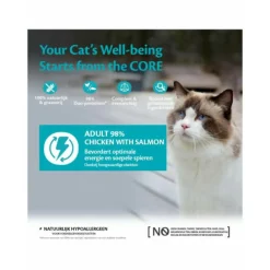 Kattenvoer<Wellness Core Kattenvoer 98% Recipe Kip - Zalm 85 gr